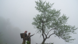 斩烂桃花：小三插足别人家庭怎么解决，民间常用的一些办法