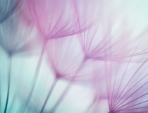 民俗文化：久病不愈对医院生恨，这是因为因果业障