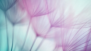 民俗文化：久病不愈对医院生恨，这是因为因果业障