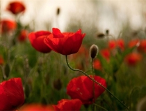 民俗文化：消灾解难的符咒，祝你平安喜乐