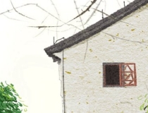 财库财运：超级百亿富豪八字分析 日坐财库富贵