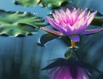 超度法事：帮助去世之人超度，让亡灵尽快解脱