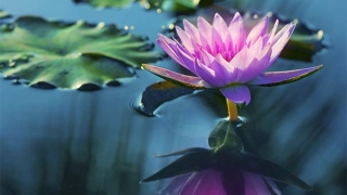 超度法事：帮助去世之人超度，让亡灵尽快解脱