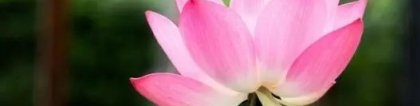 婴灵超度：试管婴儿堕胎婴灵,试管婴儿移植后该注意些什么