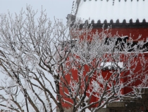 道教法事：小孩惊吓过度能打安定吗？不如去试试道教收魂