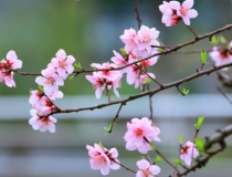 旺姻缘：民间求姻缘很灵验的方法有哪些