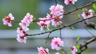 旺姻缘：民间求姻缘很灵验的方法有哪些