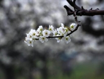 超度法事：清明祭祖，超度先人：看道教超度的五大法宝
