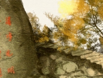 财库财运：八字算命 一般好命的人有几个财库