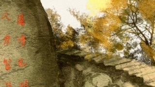 财库财运：八字算命 一般好命的人有几个财库