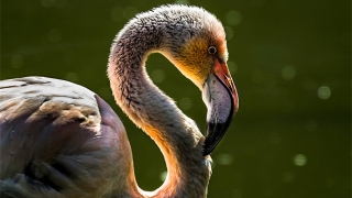 还受生债：还阴债3个月内会起效果，不能太心急