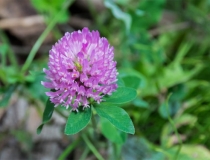 道教法事：有一种久病不愈 需要道长来帮你化解