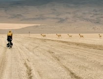 民俗文化：事业受阻家宅哪里出错 主要在这5点