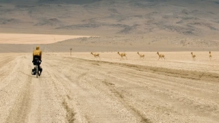 民俗文化：事业受阻家宅哪里出错 主要在这5点