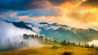 婴灵超度：婴灵渡亡表文 助婴灵尽快投胎转世