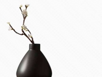 财库财运：财库临三合很有钱详解,财星居于库藏