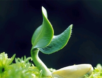 婴灵超度：真实案例分享！灵婴超度后运气好转