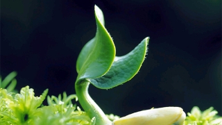 婴灵超度：真实案例分享！灵婴超度后运气好转