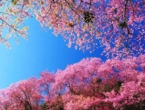 婴灵超度：婴灵渡亡表文帮助婴灵尽快往生善道