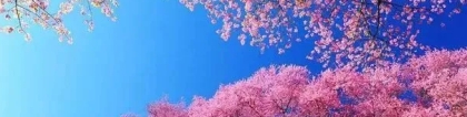 婴灵超度：婴灵渡亡表文帮助婴灵尽快往生善道