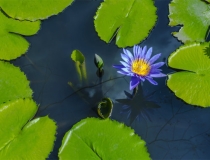 财库财运：27岁一直赚不到钱财运特别差 这3种方法帮助你提升财运