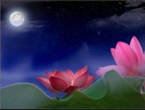 超度法事：诵经回向功德超度亲人亡灵