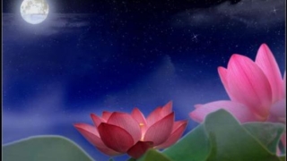 超度法事：诵经回向功德超度亲人亡灵