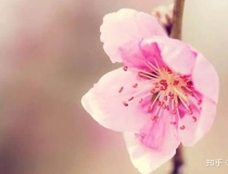 旺姻缘：招桃花运的十大方法！