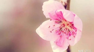 旺姻缘：招桃花运的十大方法！