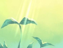 化太岁：化解太岁的最有效方法 2021年化太岁方法大全