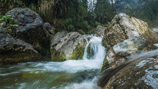斩烂桃花：斩桃花法事的原理，让感情中的第三者出局