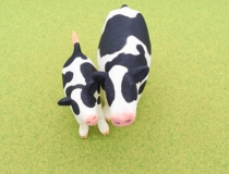 化太岁：犯太岁什么时候请化太岁符有哪些讲究