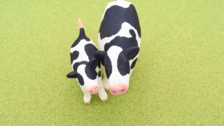 化太岁：犯太岁什么时候请化太岁符有哪些讲究