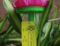 婴灵超度：念一遍咒语就灵验 ， 怎样给堕胎婴灵取名字