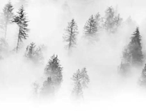 财库财运：甲戌日坐财库无人不富,财库不能遭到破坏