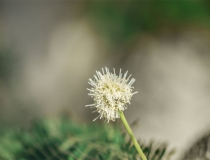 婴灵超度：堕胎婴灵的超度原来有这么多的好处