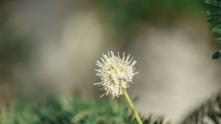 婴灵超度：堕胎婴灵的超度原来有这么多的好处