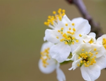 民俗文化：久病不愈的人影响家里人的健康吗？