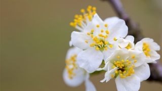 民俗文化：久病不愈的人影响家里人的健康吗？