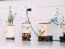 化太岁：属马的人2020年是不是冲太岁？冲太岁是什么意思？