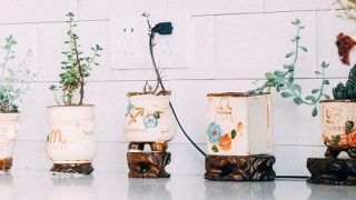 化太岁：属马的人2020年是不是冲太岁？冲太岁是什么意思？