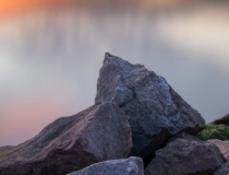 婴灵超度：吃海蛎子会导致流产滑胎吗？不想滑胎这些东西别吃