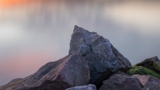 婴灵超度：吃海蛎子会导致流产滑胎吗？不想滑胎这些东西别吃