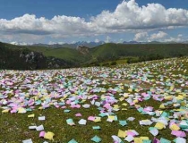 还受生债：2022年最新还阴债的感应分享