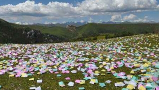 还受生债：2022年最新还阴债的感应分享