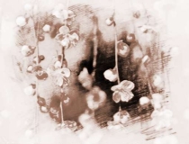 旺姻缘：家里放什么招桃花运旺姻缘最好