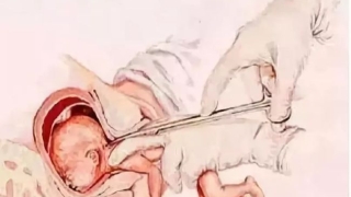 婴灵超度：堕胎婴灵，祈愿地藏王菩萨佛力加持超度，让婴灵有家可归！