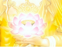 婴灵超度：我堕胎后惨痛的报应，如今追悔莫及！