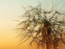 还受生债：大悲咒还阴债，大师教你正确还阴债