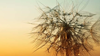 还受生债：大悲咒还阴债，大师教你正确还阴债